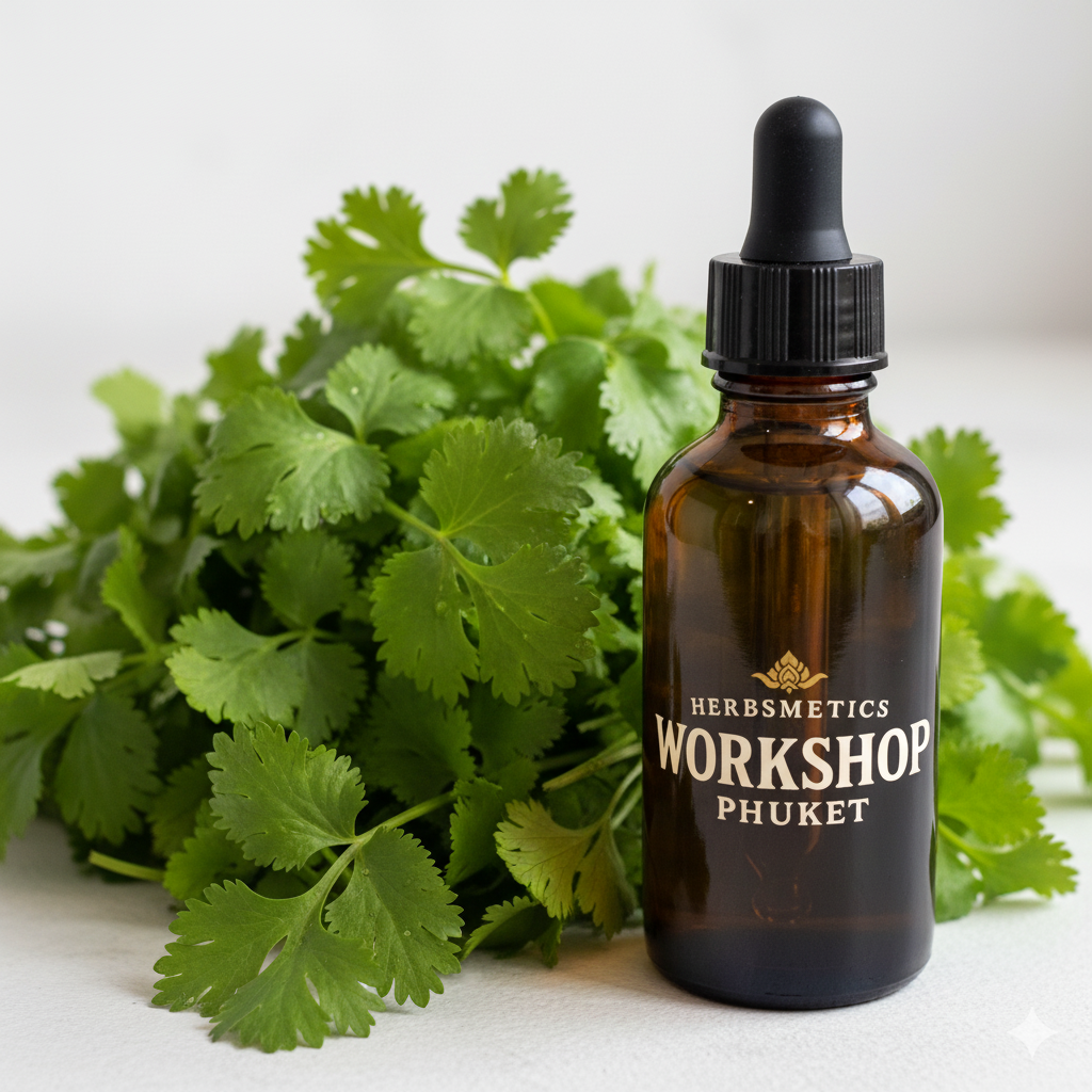 Cilantro Leaf essential oil — herbal, green, fresh — Herbsmetics Phuket
