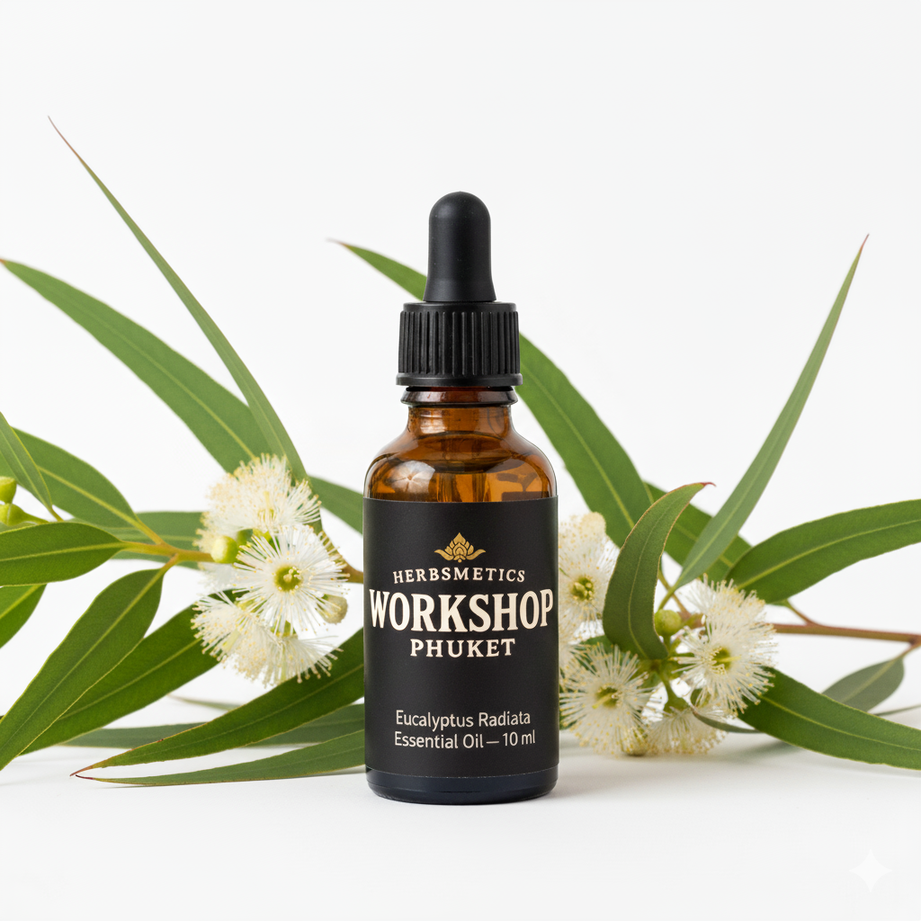 Eucalyptus Radiata essential oil — herbal, green, fresh — Herbsmetics Phuket